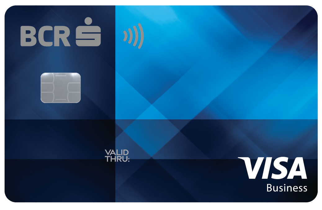 Visa Business Silver Bcr Business